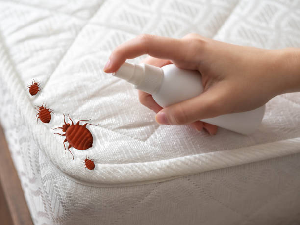Best Pest Prevention Services  in Calumet, PA