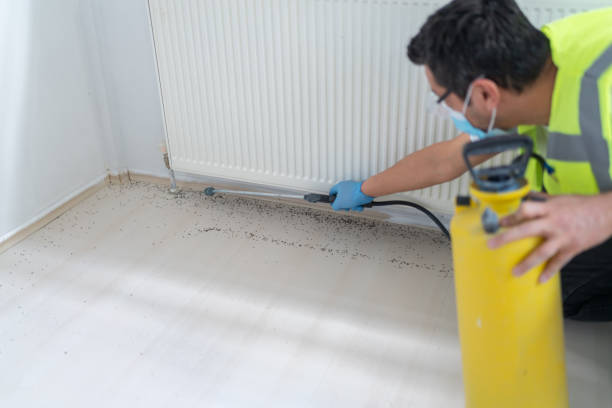 Best Pest Removal Services  in Calumet, PA