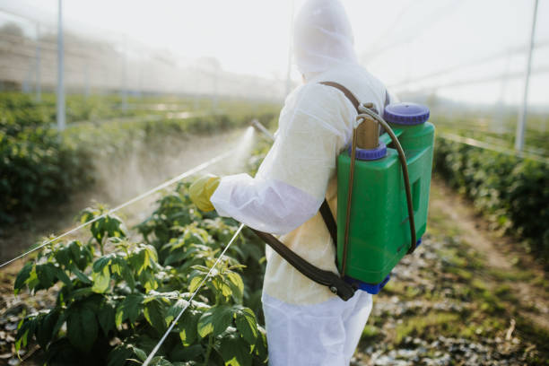 Best Wasp Removal Services  in Calumet, PA